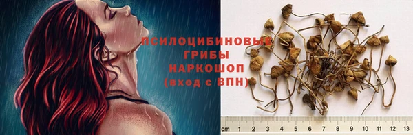 молекула духа Карталы